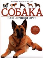 Собака. Ваш лучший друг. Альбом-энциклопедия Собака. Ваш лучший друг. Альбом-энциклопедия