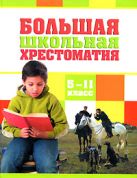 Большая школьная хрестоматия. 5-11 классы Большая школьная хрестоматия. 5-11 классы