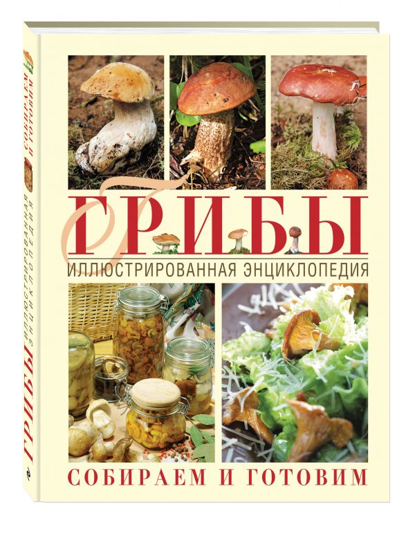 Грибы. Иллюстрированная энциклопедия. Собираем и готовим Грибы. Иллюстрированная энциклопедия. Собираем и готовим Ильина Т.А.