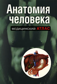 Анатомия человека Анатомия человека