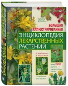Большая иллюстрированная энциклопедия лекарственных растений Большая иллюстрированная энциклопедия лекарственных растений