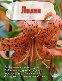 Лилии (Вырубка. Цветы в саду и на окне (обложка))