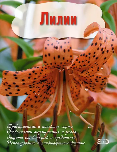 Обложка Лилии (Вырубка. Цветы в саду и на окне (обложка)) <не указано>