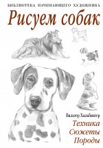 Рисуем собак