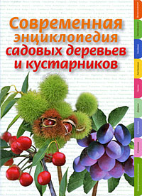 Довганюк А.И., Попова Ю.Г. - Современная энциклопедия садовых деревьев и кустарников обложка книги Довганюк А.И., Попова Ю.Г. - Современная энциклопедия садовых деревьев и кустарников обложка книги