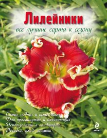 Рубинина А.Е. - Лилейники. Все лучшие сорта к сезону (Вырубка. Цветы в саду и на окне (обложка)) обложка книги Рубинина А.Е. - Лилейники. Все лучшие сорта к сезону (Вырубка. Цветы в саду и на окне (обложка)) обложка книги