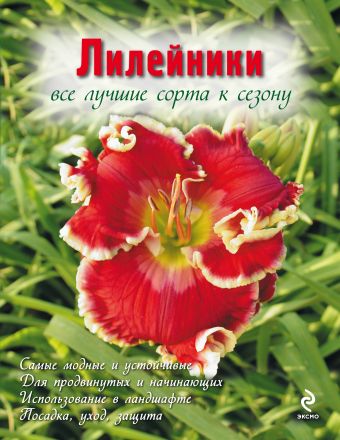 Лилейники. Все лучшие сорта к сезону (Вырубка. Цветы в саду и на окне) Лилейники. Все лучшие сорта к сезону (Вырубка. Цветы в саду и на окне) Рубинина А.Е.