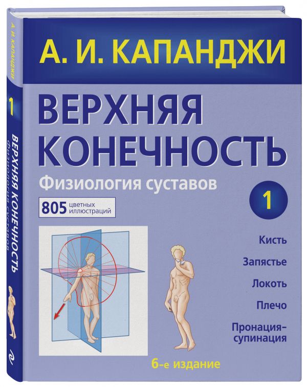 Верхняя конечность. Физиология суставов Верхняя конечность. Физиология суставов Капанджи А.И.
