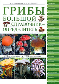 Грибы: большой справочник-определитель