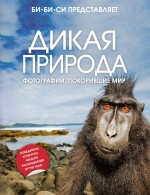 Дикая природа: фотографии, покорившие мир Дикая природа: фотографии, покорившие мир