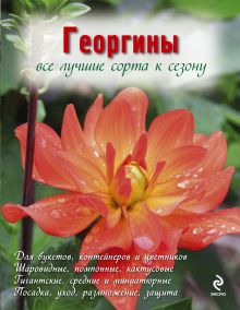 Георгины (Вырубка. Цветы в саду и на окне (обложка))
