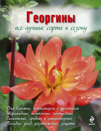 Обложка Георгины (Вырубка. Цветы в саду и на окне (обложка)) Рубинина А.Е.