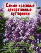 Самые красивые декоративные кустарники в вашем саду Самые красивые декоративные кустарники в вашем саду