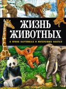 Жизнь животных в ярких картинках и интересных фактах Жизнь животных в ярких картинках и интересных фактах