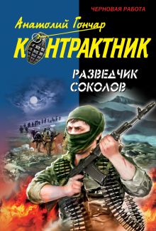 Разведчик Соколов: роман