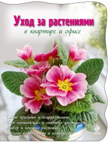 Уход за растениями в квартире и офисе