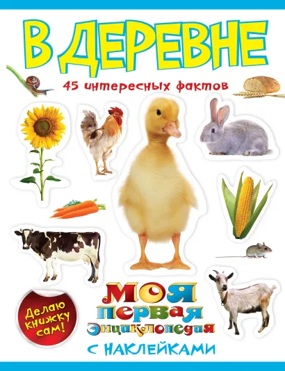 Обложка В деревне Калмыкова О.В.