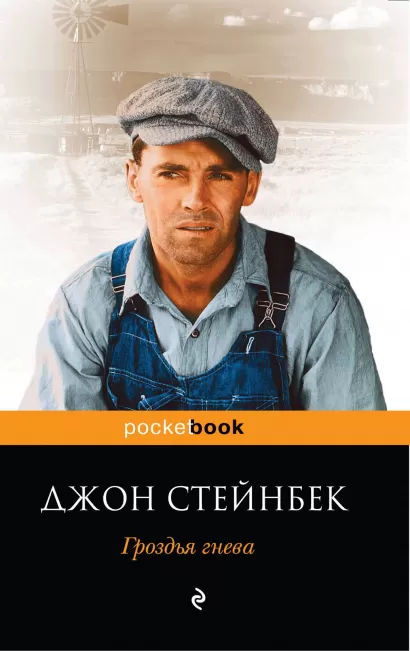 Обложка Гроздья гнева Стейнбек Д.