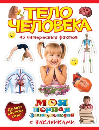 Обложка Тело человека Костина Н.Н.