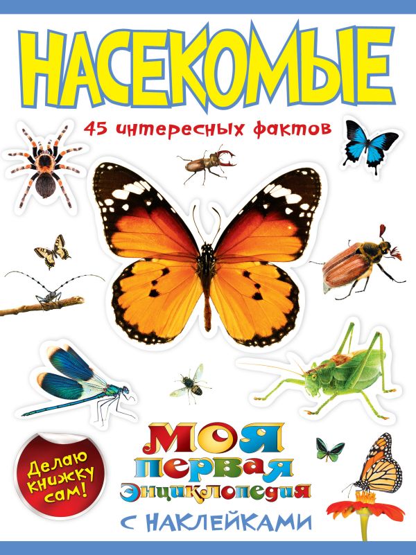 Насекомые Насекомые Костина Н.Н.