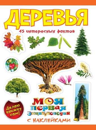Деревья Деревья Кривич Е.Я.