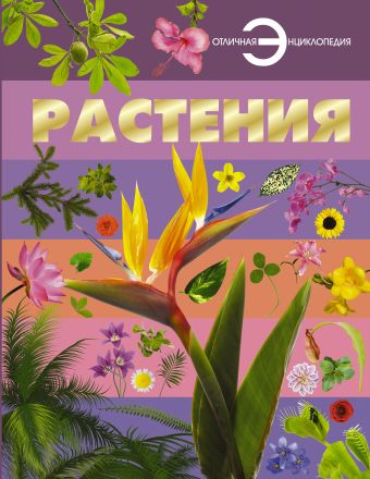 Растения Растения Спектор А.А.