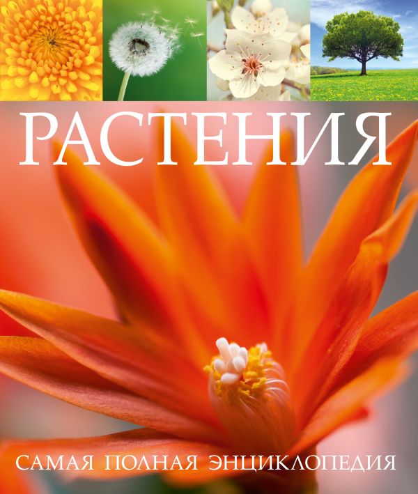 Растения. Самая полная энциклопедия Растения. Самая полная энциклопедия