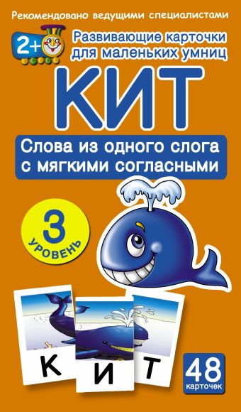 КИТ. Слова из одного слога с мягкими согласными. З уровень КИТ. Слова из одного слога с мягкими согласными. З уровень .