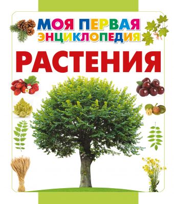 Растения Растения Спектор А.А.
