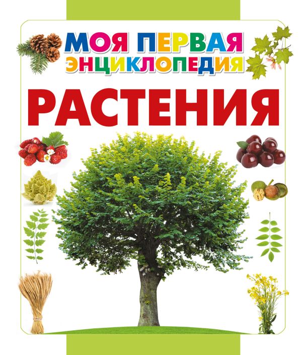Растения Растения Спектор А.А.