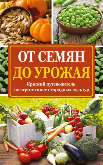 От семян до урожая От семян до урожая Севостьянова Н.Н.