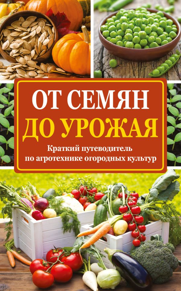 От семян до урожая От семян до урожая Севостьянова Н.Н.