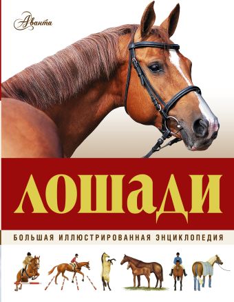 Большая иллюстрированная энциклопедия. Лошади Большая иллюстрированная энциклопедия. Лошади .