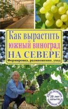 Как вырастить южный виноград на севере Как вырастить южный виноград на севере