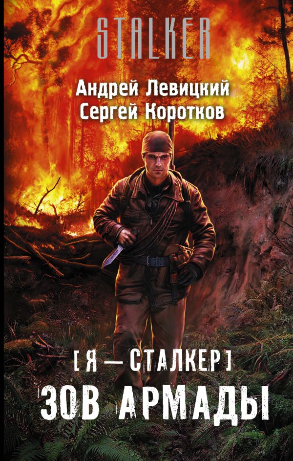 Я — сталкер. Зов Армады Я — сталкер. Зов Армады Левицкий А.