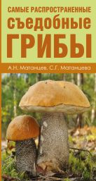 Самые распространенные съедобные грибы Самые распространенные съедобные грибы
