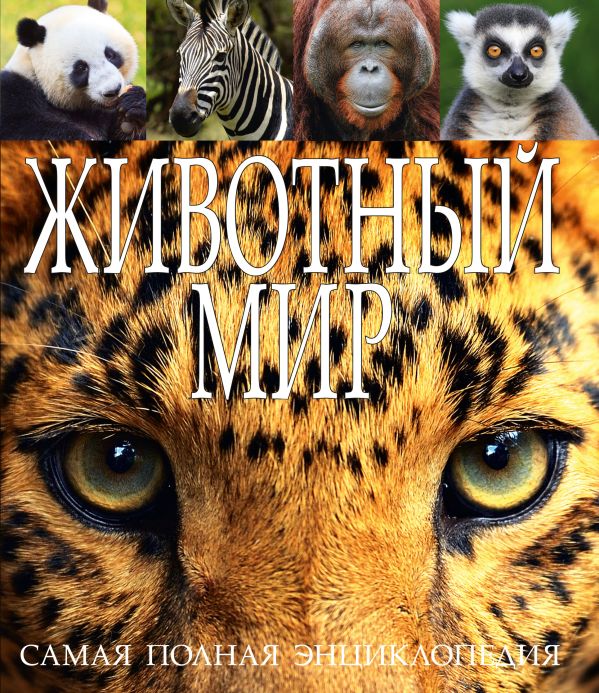 Животный мир Животный мир