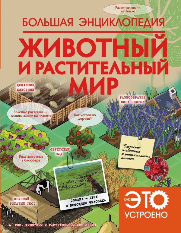 Животный и растительный мир Животный и растительный мир Спектр В.