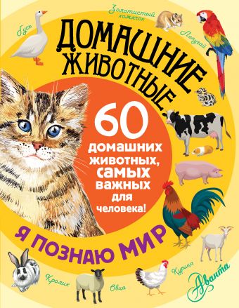 Домашние животные Домашние животные .