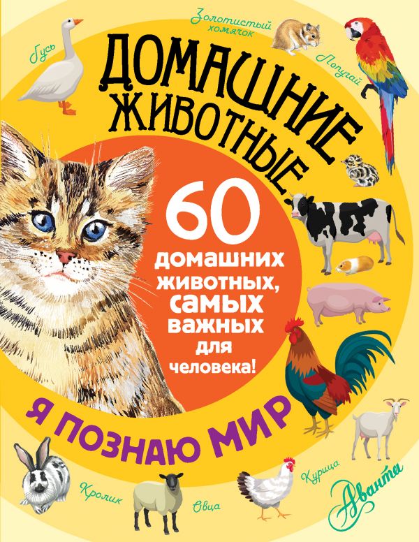Домашние животные Домашние животные .