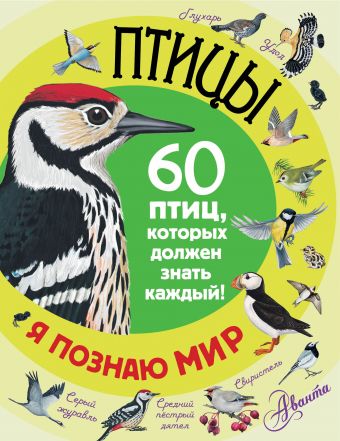 Птицы Птицы .
