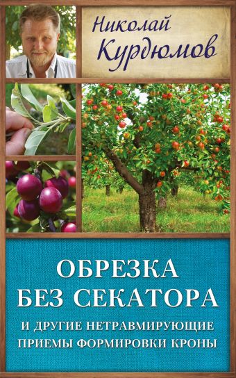 Обрезка без секатора и другие нетравмирующие приемы формировки кроны Обрезка без секатора и другие нетравмирующие приемы формировки кроны Курдюмов Н.И.
