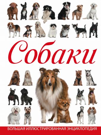Собаки Собаки Барановская И.Г., Вайткене Л.Д.