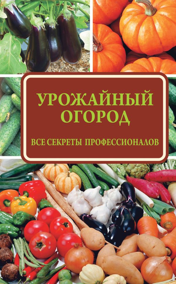 Урожайный огород Урожайный огород Севостьянова Н.Н.