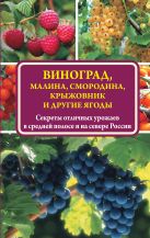Виноград, малина, смородина, крыжовник и другие ягоды Виноград, малина, смородина, крыжовник и другие ягоды