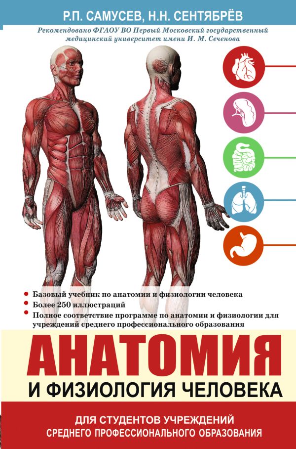 Анатомия и физиология человека. Учебное пособие для студентов учреждений среднего профессионального образования Анатомия и физиология человека. Учебное пособие для студентов учреждений среднего профессионального образования Самусев Р.П., Сентябрев Н.Н.
