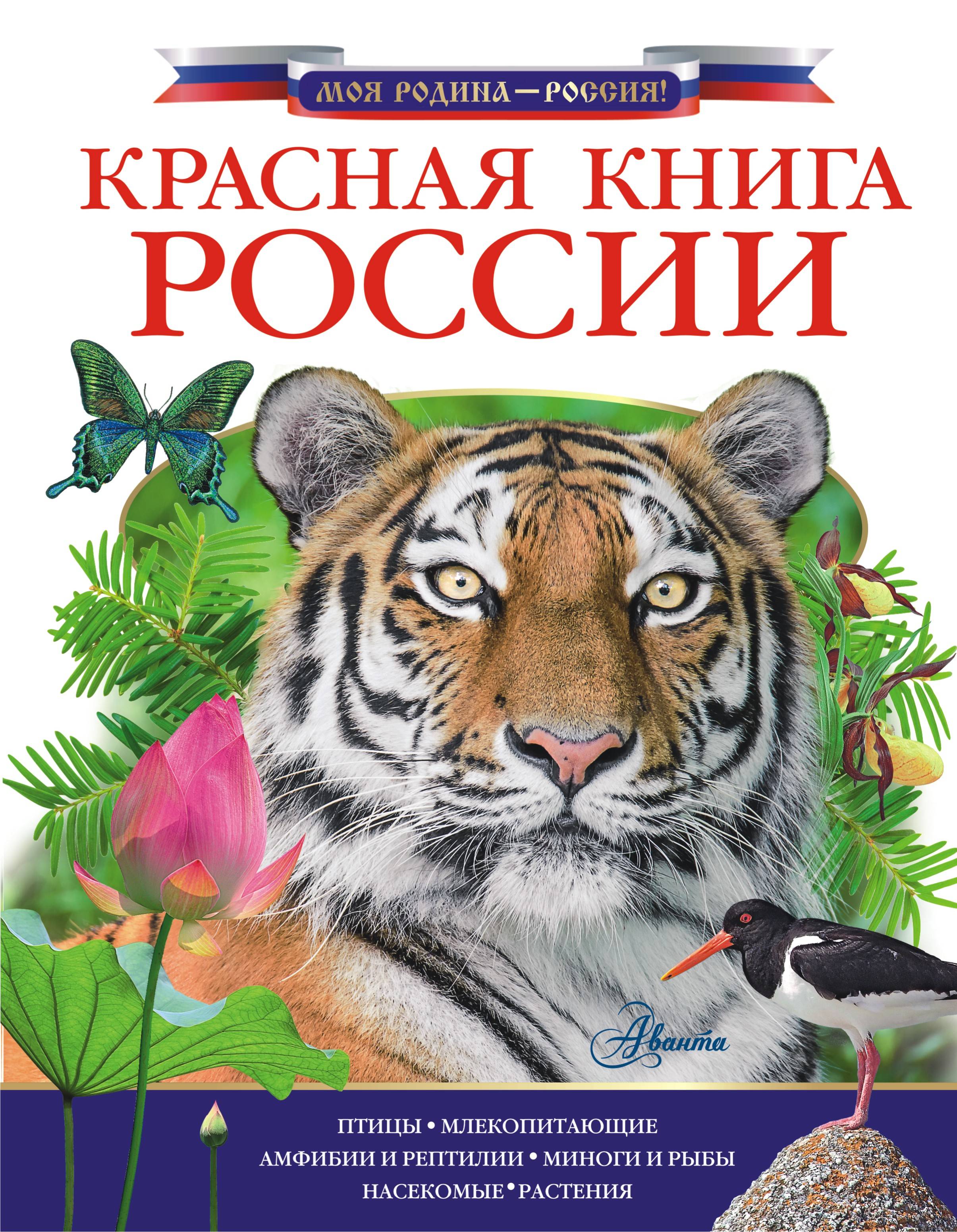 Для, картинки красная книга для детей