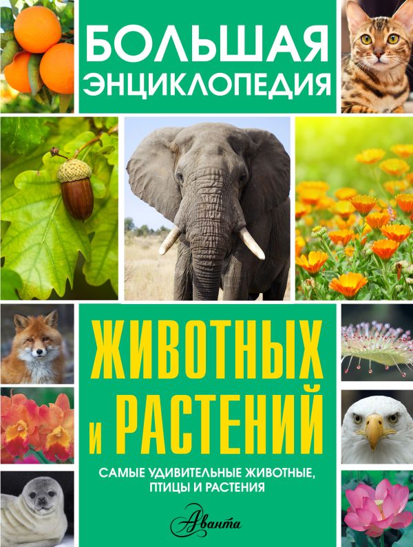 Большая энциклопедия животных и растений Большая энциклопедия животных и растений