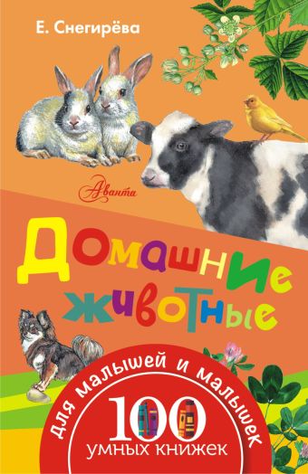 Домашние животные Домашние животные Снегирёва Е.