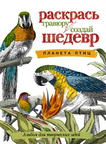 Планета птиц Планета птиц